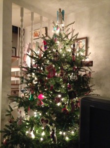 Our 2012 tree. When I was little, I apparently called one of these "the Mister P."