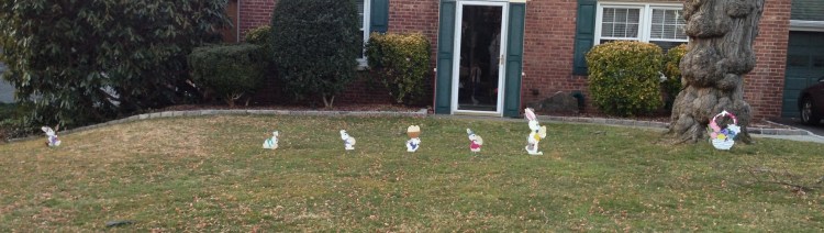 The bunnies last year.