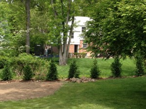 The back perimeter of the yard was previously an overgrown mess of pachysandra, small bushes and weeds.