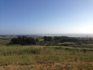 The view out my office window this week.