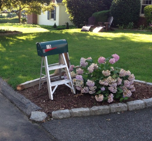 Monday found our mailbox down and out. Someone had backed into it overnight, snapping the post in two. A new post will be installed today, but in the meantime, the Vaneches are nothing if not resourceful. And yes, of course Catherine is embarrassed!