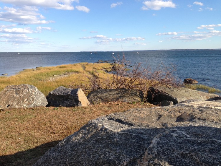 One more late season shot of Tod's Point, taken during the Catherine photo session for this year's Christmas card. (Yes, you read that right; my Christmas cards have been ordered.)
