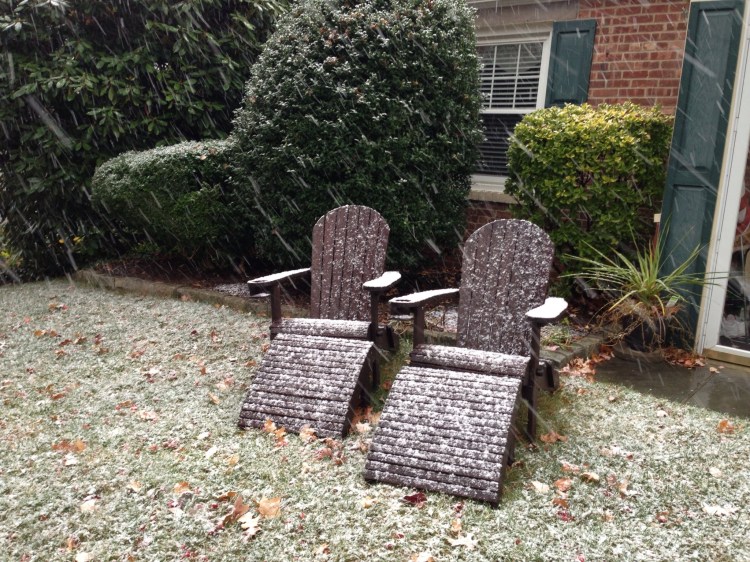 First snow of the season. It was here and gone in just a few hours, but how exciting while it lasted -- for me anyway!