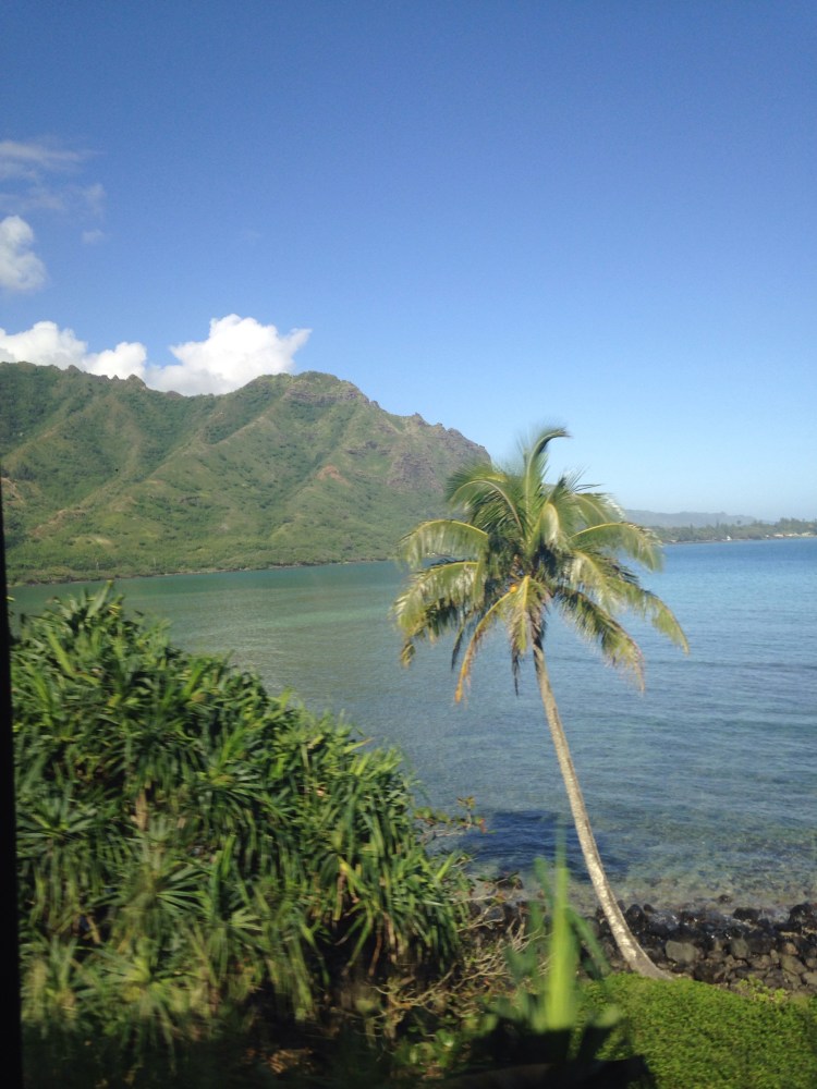 North Shore, Oahu, from the February 2014 Greenwich High choral trip to Hawaii.