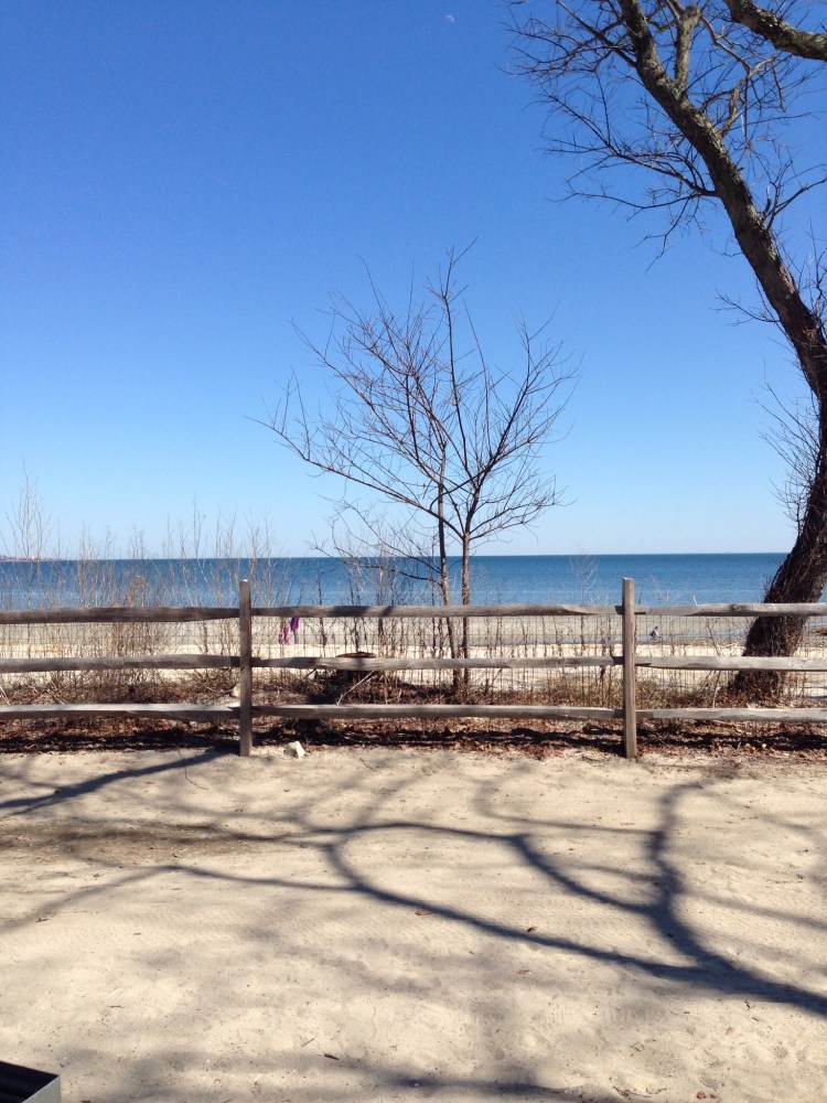 Standing tall amid shadows.