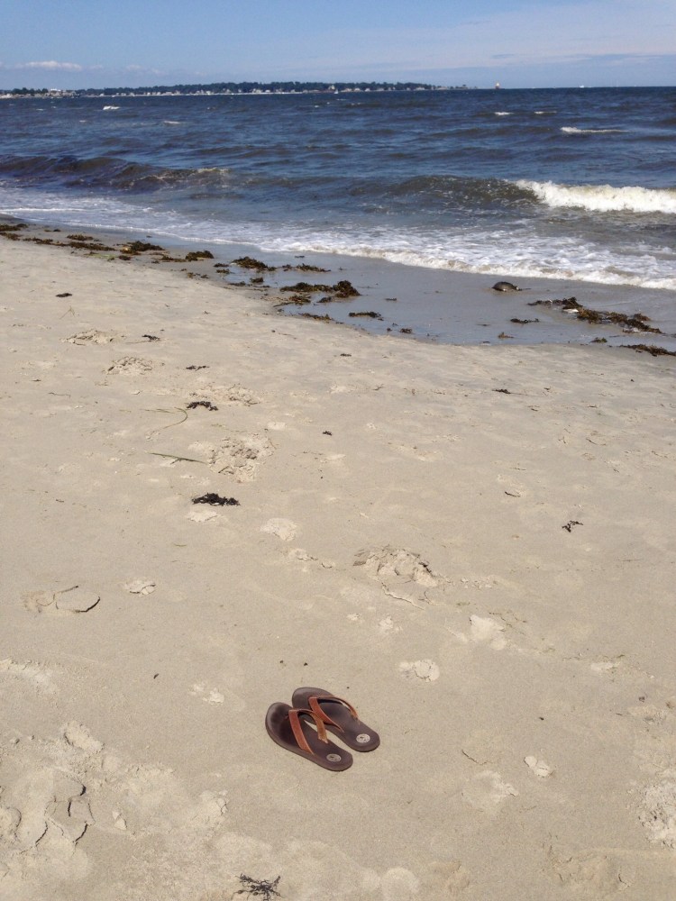 Tod's Point, Greenwich.