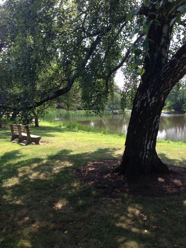 Bruce Park, Greenwich, CT