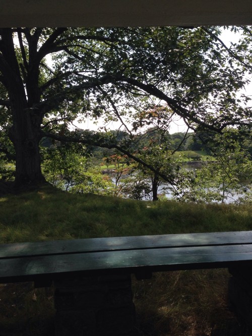 Bird's-eye view, atop pavilion on outcropping at Bruce Park. 