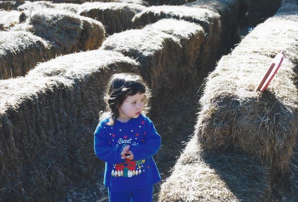 Whose idea was it to walk through this stupid hay maze?