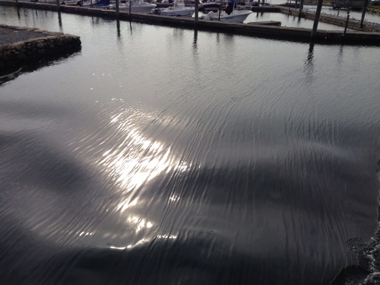 The turning tide. Catherine and I spent many summer mornings watching it below the footbridge waiting for SoundWaters camp to begin.