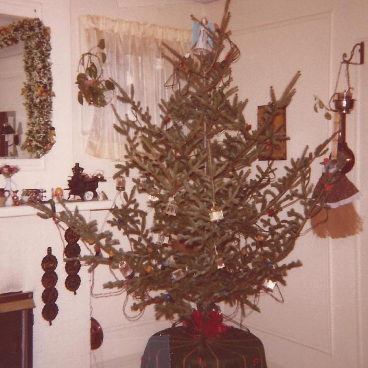 Behold, 1979's saddest tree ever.