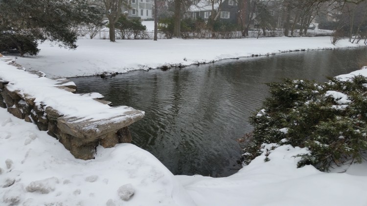 Photo by Basil N. Vanech Here in Greenwich, CT, we had snow this week, but no blizzard. Binney Park.