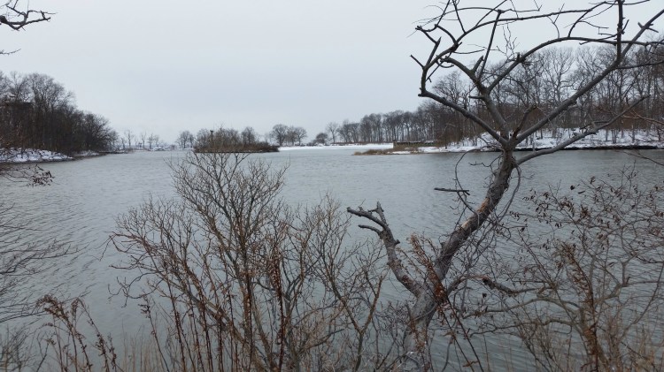 Photo by Basil N. Vanech Tod's Point, after the storm.