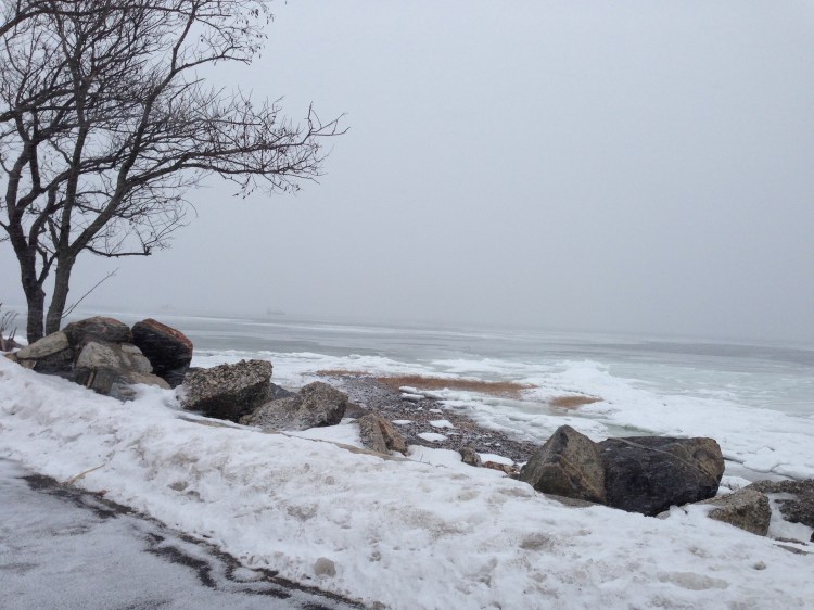 Tod's Point, Greenwich, CT. Sunday, Feb. 22.