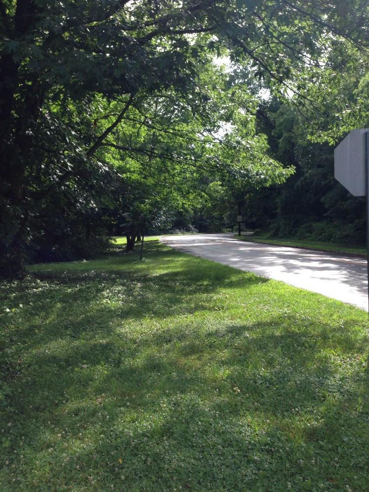 The sun shines briefly Sunday in Old Greenwich offering respite from the rain. 