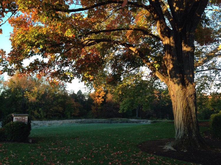Sunrise, New Vernon, NJ