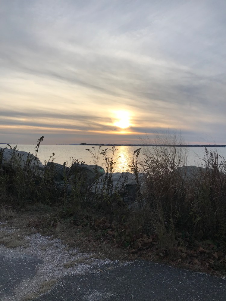 6736F1A1-9F69-426D-B7E6-66C144D3D9FB