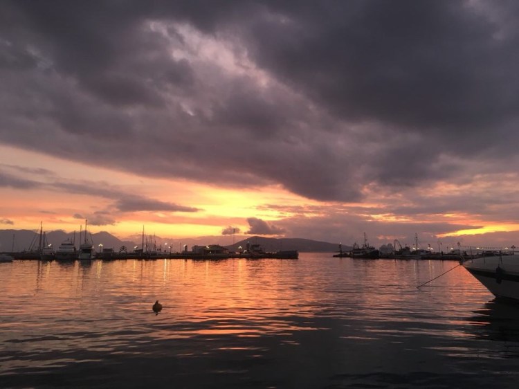 33E760B9-2D88-4A45-9A0F-55237652F59E