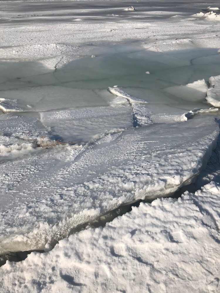 85691538-0417-468A-877E-DA66C9827F8D