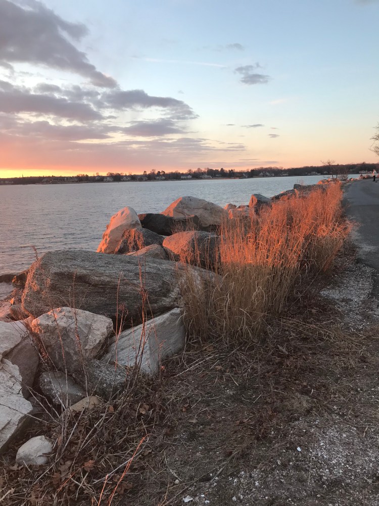 3CD23EE8-2E5D-410E-A78E-491169A290B4