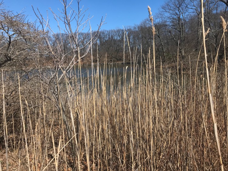 C5269A6A-8E57-49BB-B633-1B629559EFF3