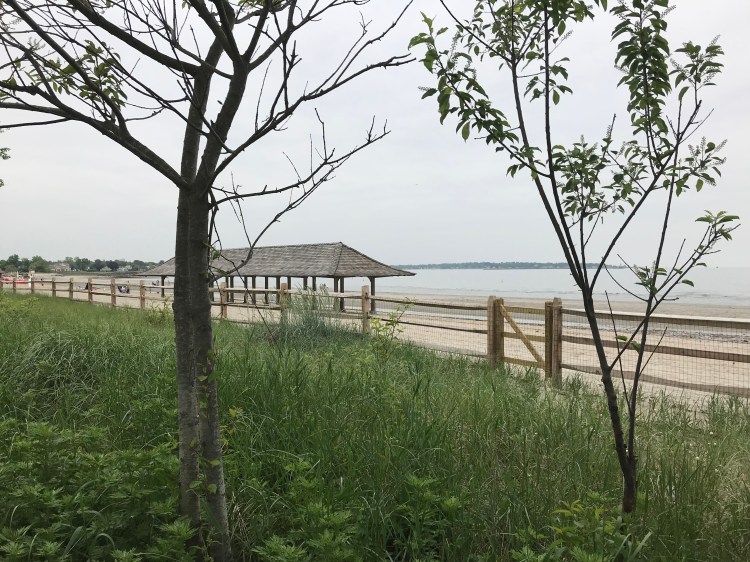 70FC669F-AB6A-45CB-B9EE-40403269BDAD