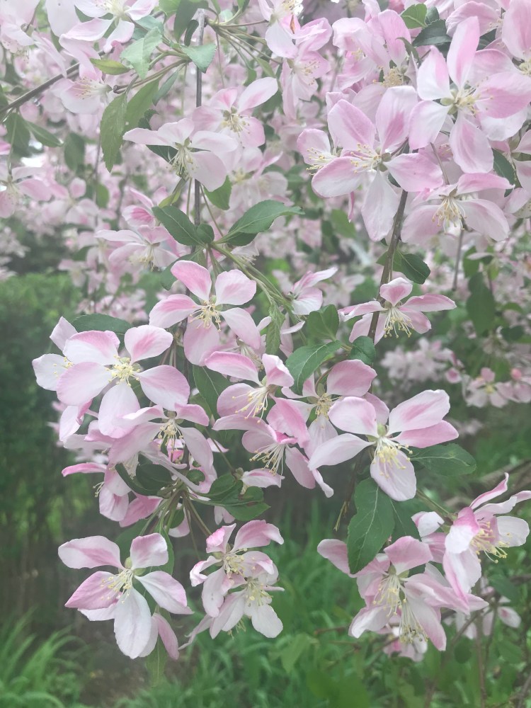 7EA4BCD5-98A6-445B-8F69-FA4FEC8A074B