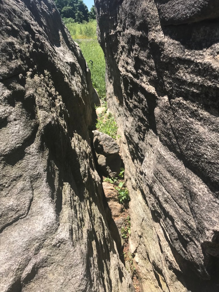 BA5A729C-D3A4-44AD-9158-22E2F91D0C37