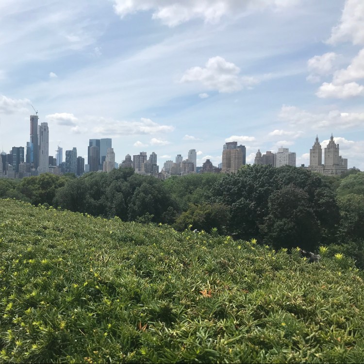 D60F208C-291F-4FB6-B9D3-F3EB5CD7799E