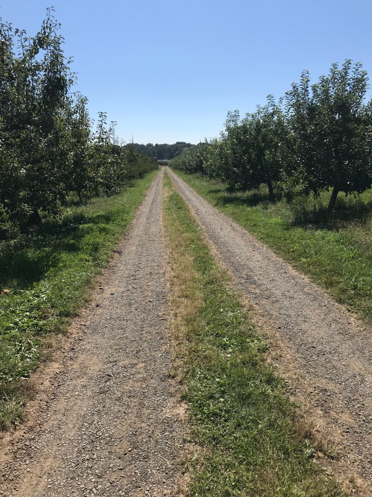 03C94641-355B-4D42-B3B2-248644C1E828