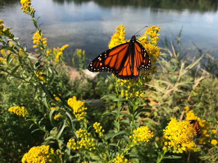 0941E0E2-E07E-4F38-9B3E-137FAFD22318