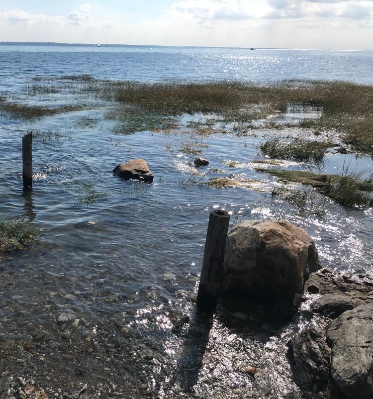 2EC0029E-C636-4E10-9D16-1216779F70D3