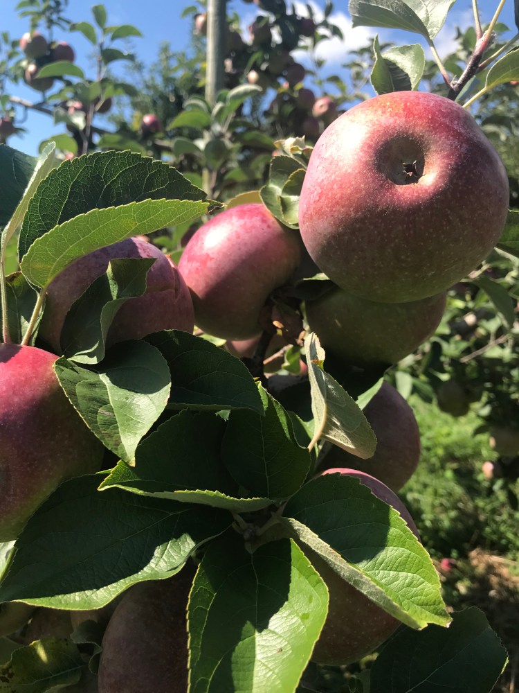 72720B65-B90C-47C1-8FF3-32D4407096A0