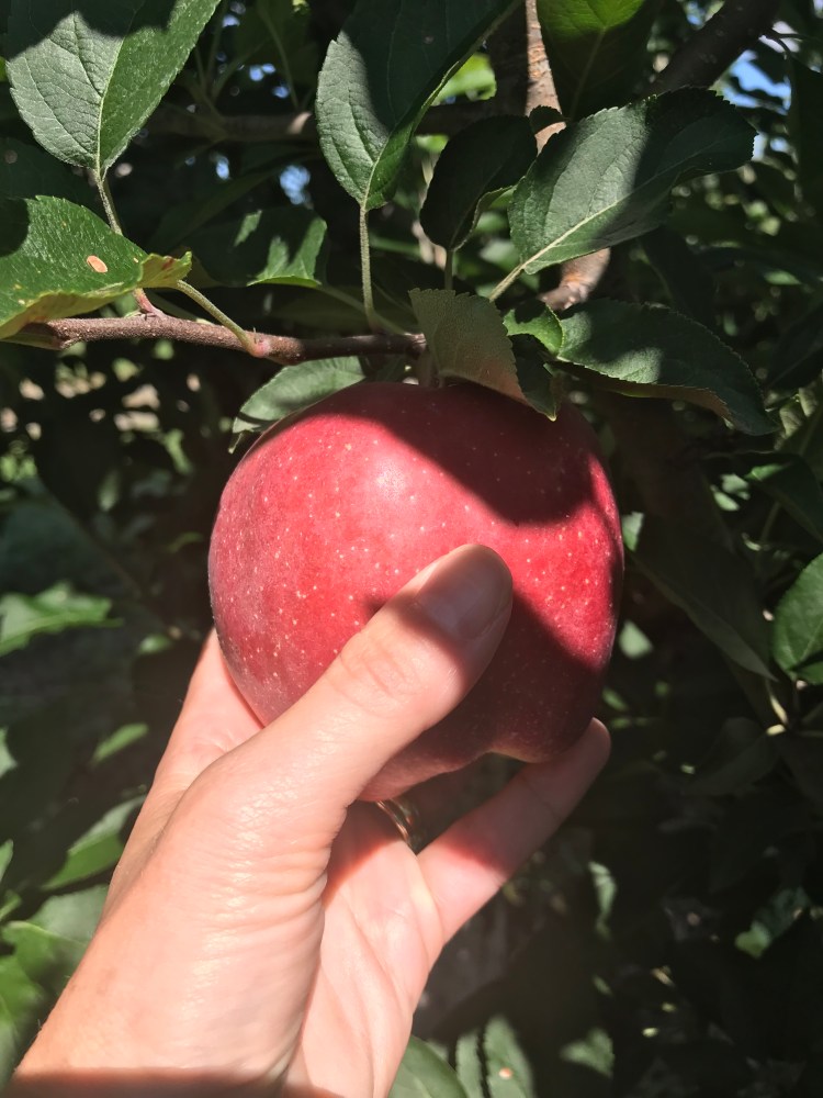 B5077227-CD16-4050-87BB-C4066EB20369