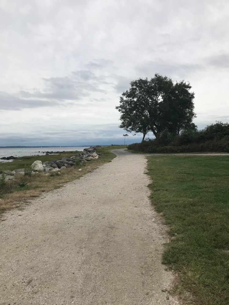 D3880519-EBDC-4129-AD50-18992893F618