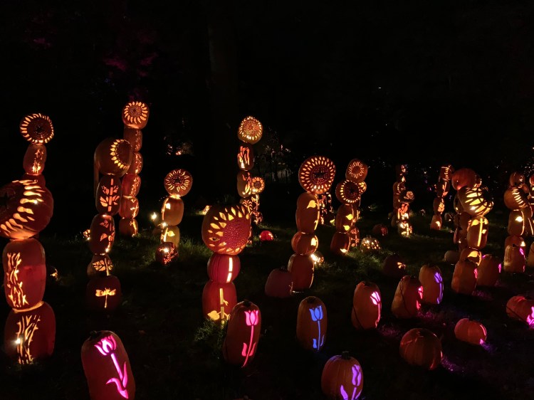 3767F94D-9916-4D1D-AF13-927AE14CDB5C