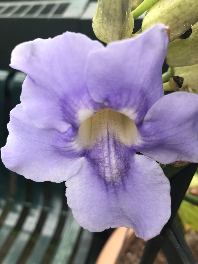 09B5E09D-166E-4B26-9074-DA5EC7467B06