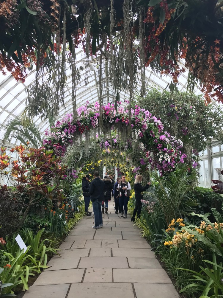 36A5FDA0-B791-4B18-B965-6A836BAC939A