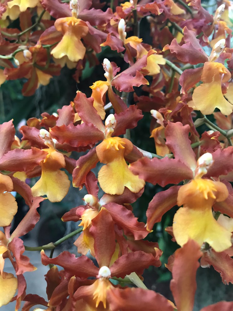 3E2E496C-0522-4918-A21A-D0D880599453