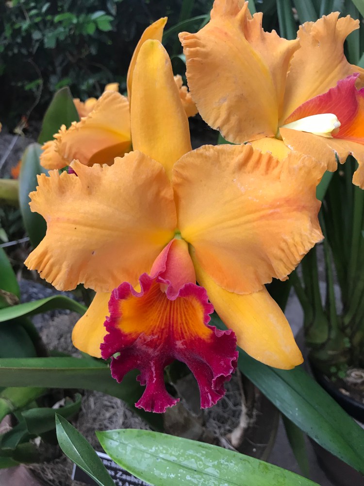 CF7F7614-86A0-432C-9775-4E91ACA299D9