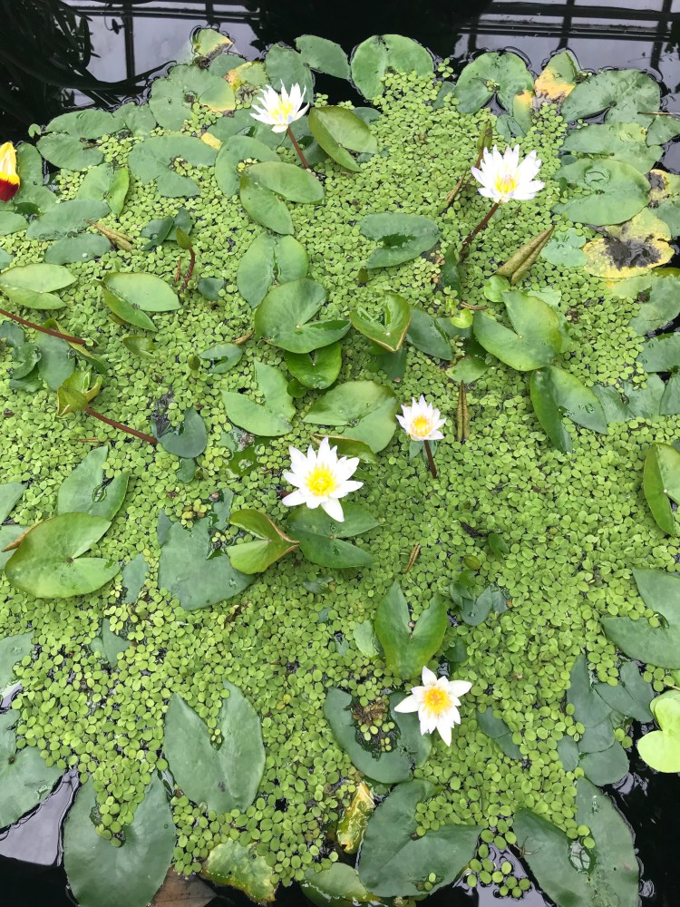 E9BCD6D4-383B-41A1-ACBA-E03800D56308