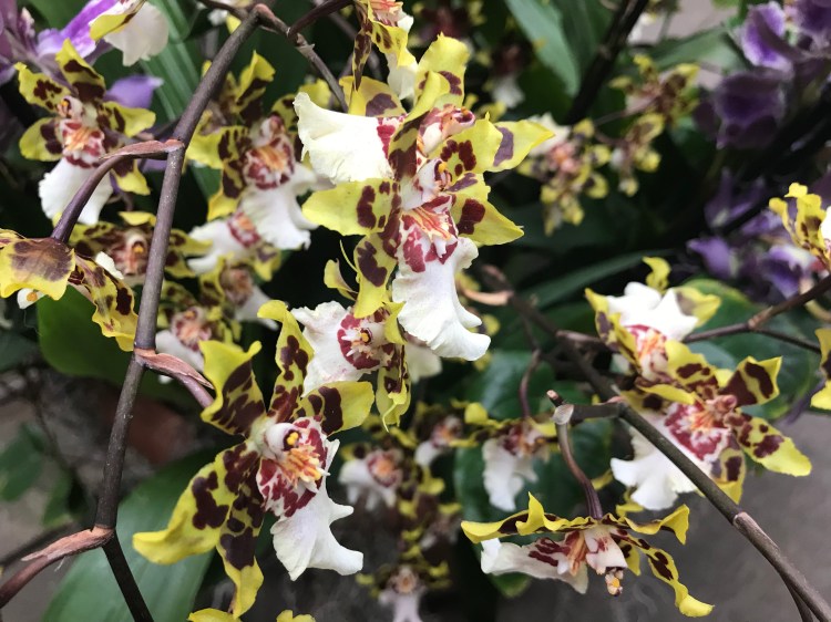 EE1D59A5-2DBA-48F9-B36C-FBC5534E3FE0