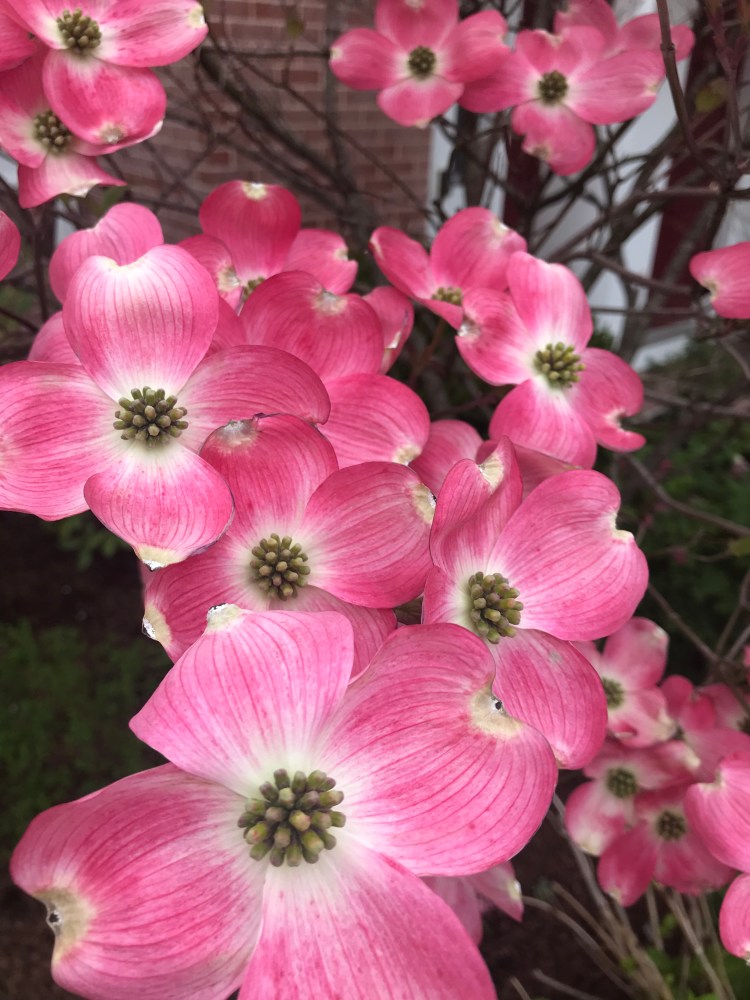 06C12178-915D-4C99-8685-FA6D82C3E8CA