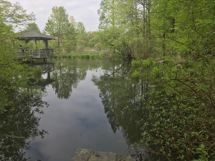 7A754063-F925-4DA2-BDC3-A8A0DE6D60BC