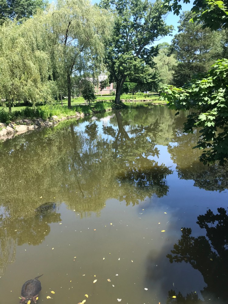 3A127F4D-4BF2-45FE-B5C3-33C8B08C2FDD