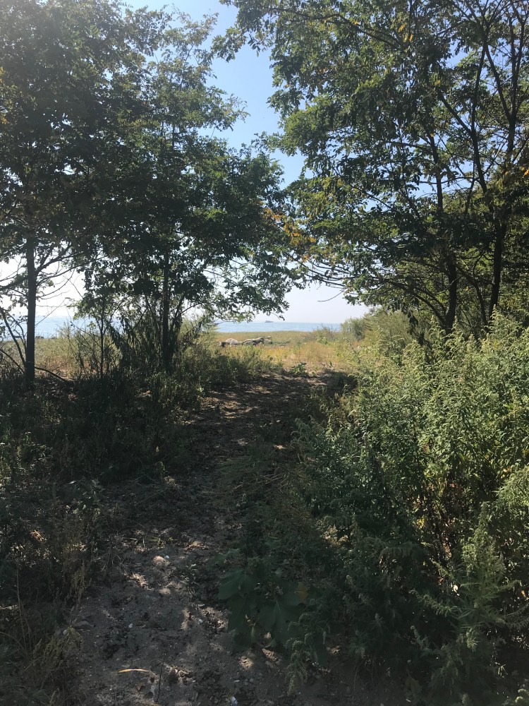 6F752954-E9D1-4919-A5E2-F9BE53361587