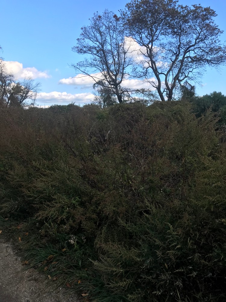 E89D9621-96C4-4318-9A9E-9704C6944022