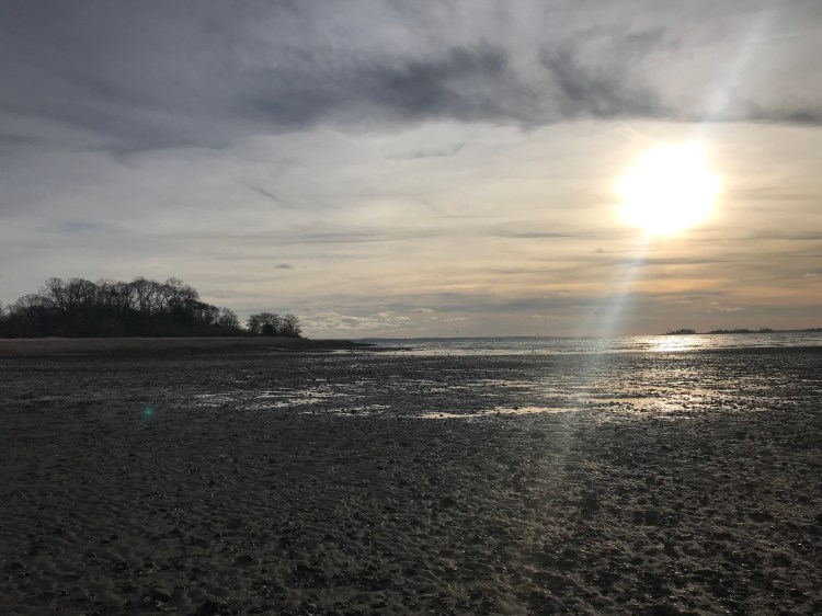 709B962D-A141-493E-92B4-B0681790B142