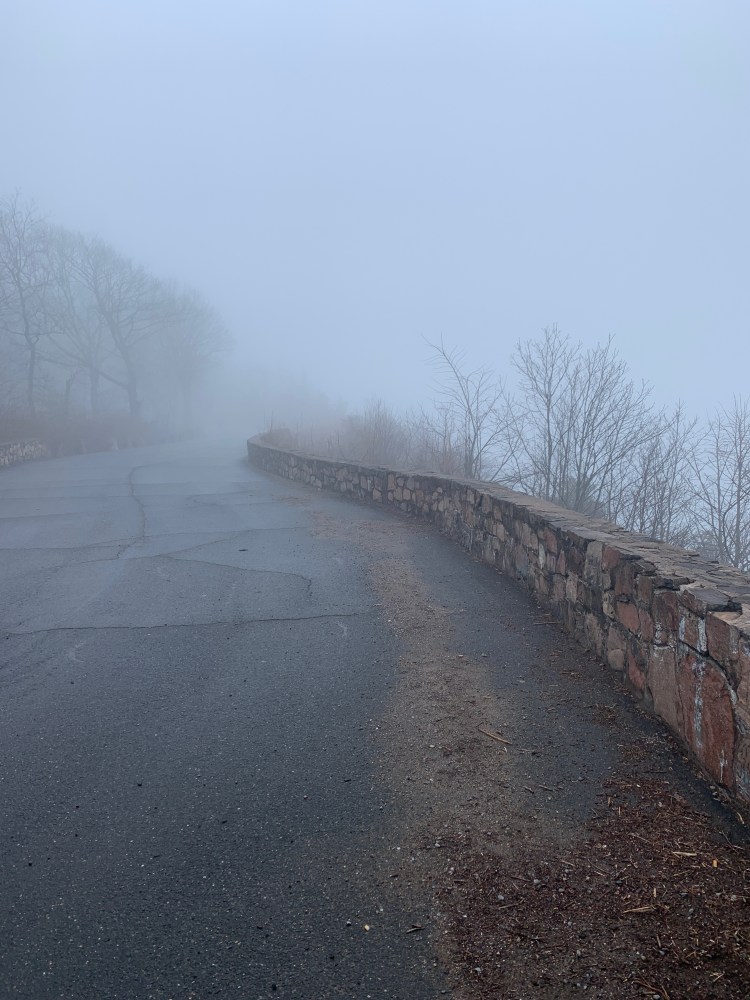 158B99EF-9816-4BF7-A2DC-723805613E38