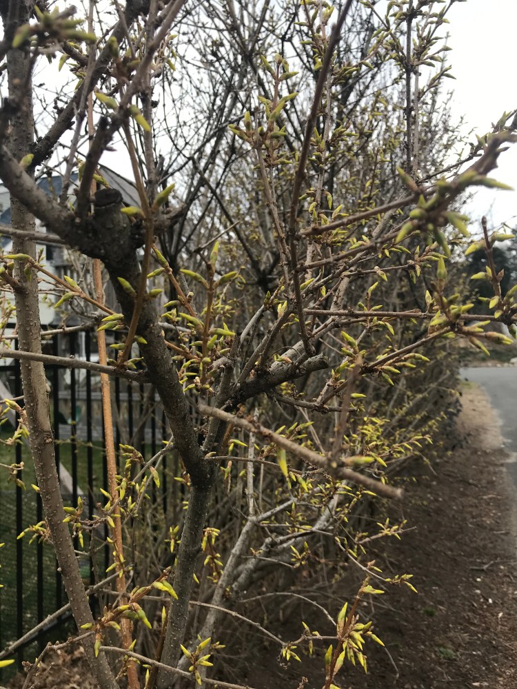 602268A5-2DA0-4301-931F-10171EF4B3A9